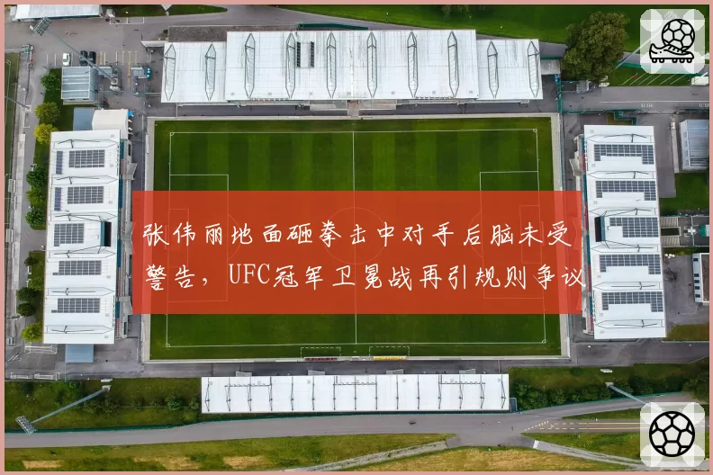 张伟丽地面砸拳击中对手后脑未受警告,UFC冠军卫冕战再引规则争议