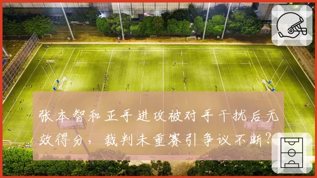 张本智和正手进攻被对手干扰后无效得分,裁判未重赛引争议不断?