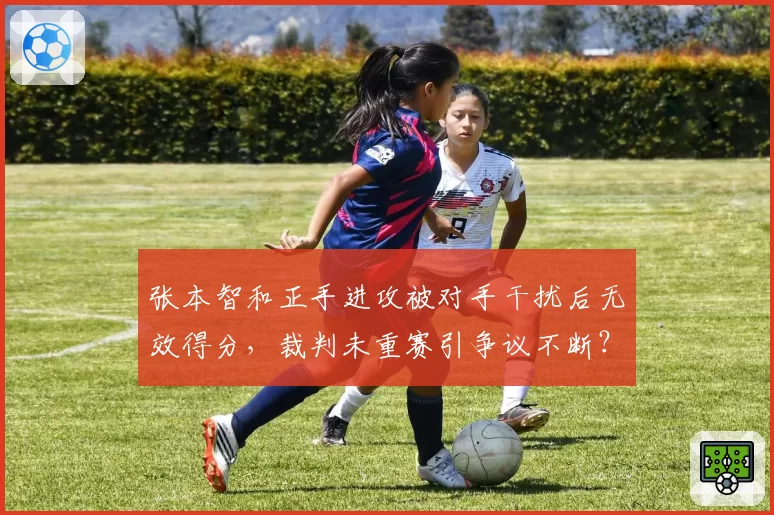 张本智和正手进攻被对手干扰后无效得分,裁判未重赛引争议不断?